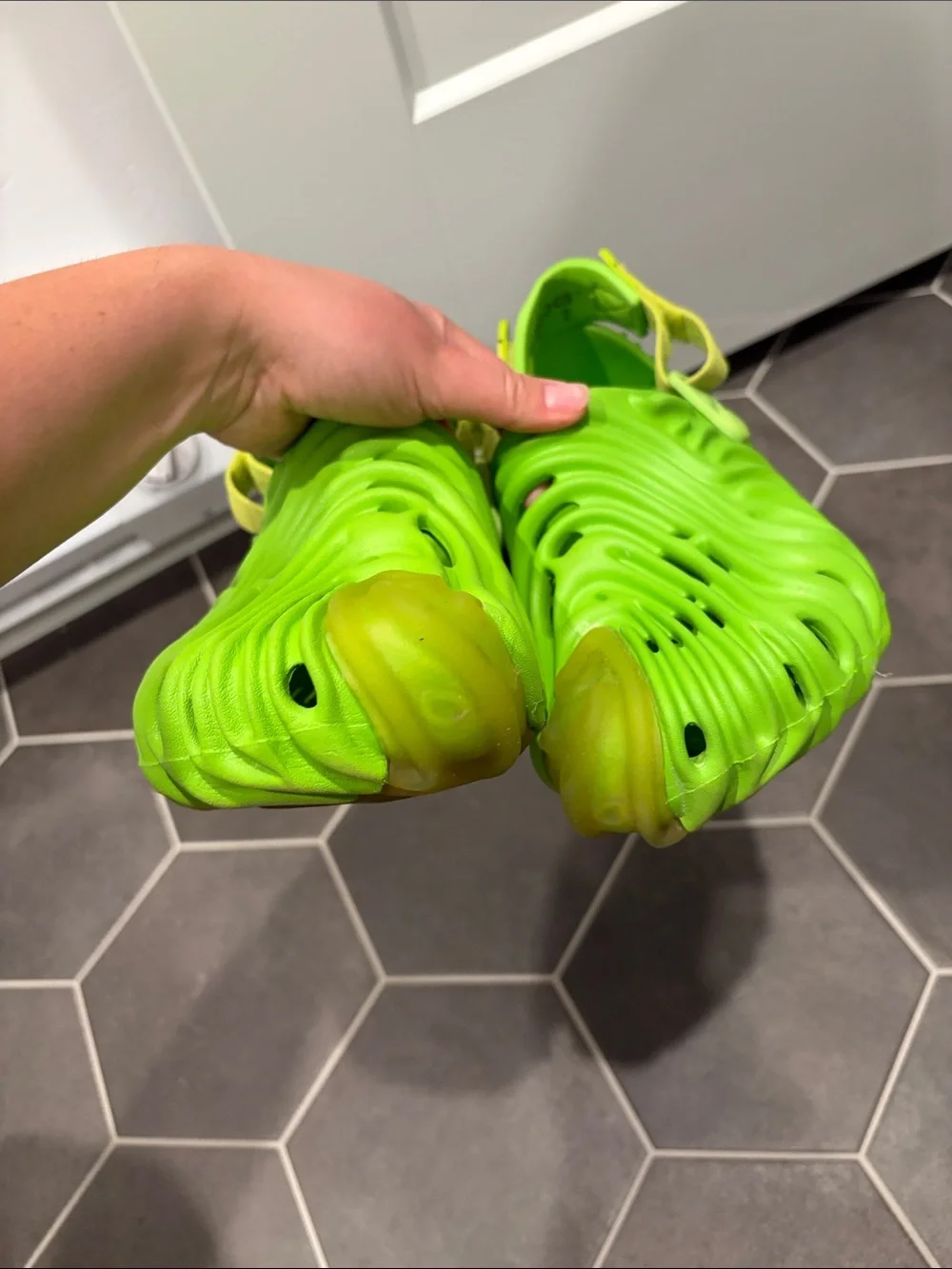 SALEHE BEMBURY X CROCS Unisex Pollex Clog Crocodile Size M7/W9